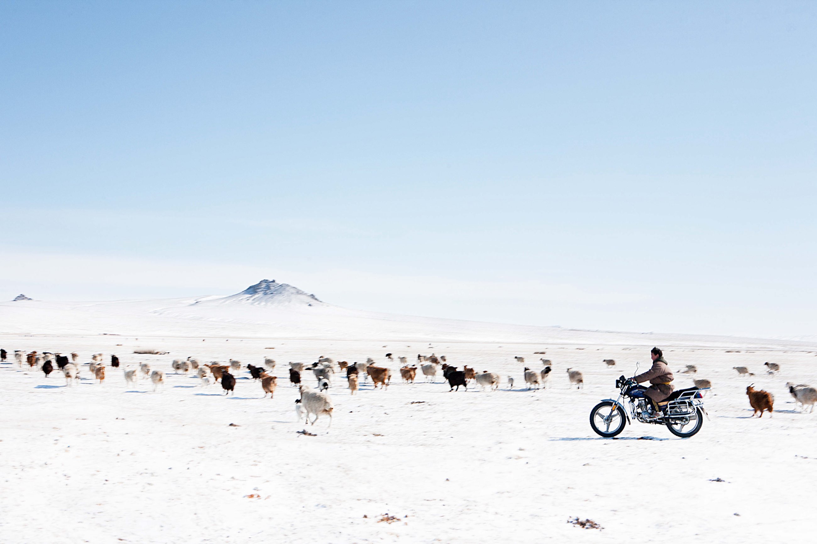 Mongolia: Nomads No More, Mongolia
